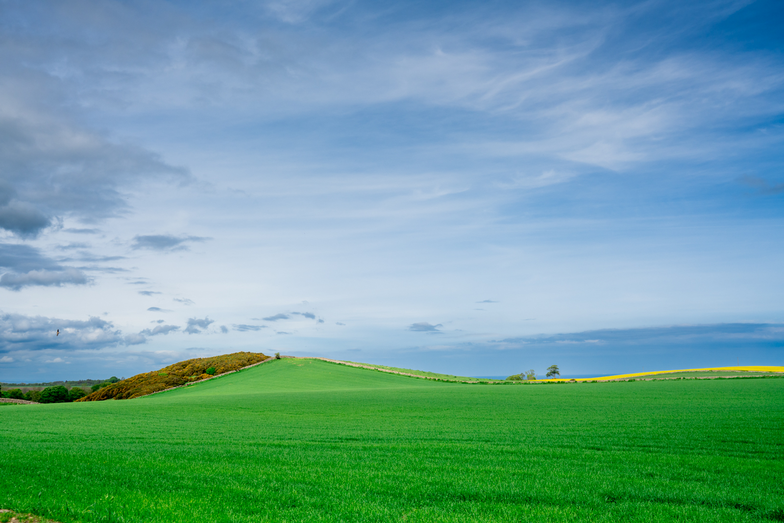 Sommar & semester & tid för eftertanke
